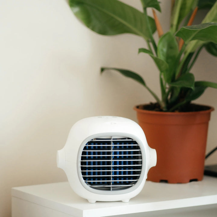 White portable air cooler displayed on a shelf beside a plant